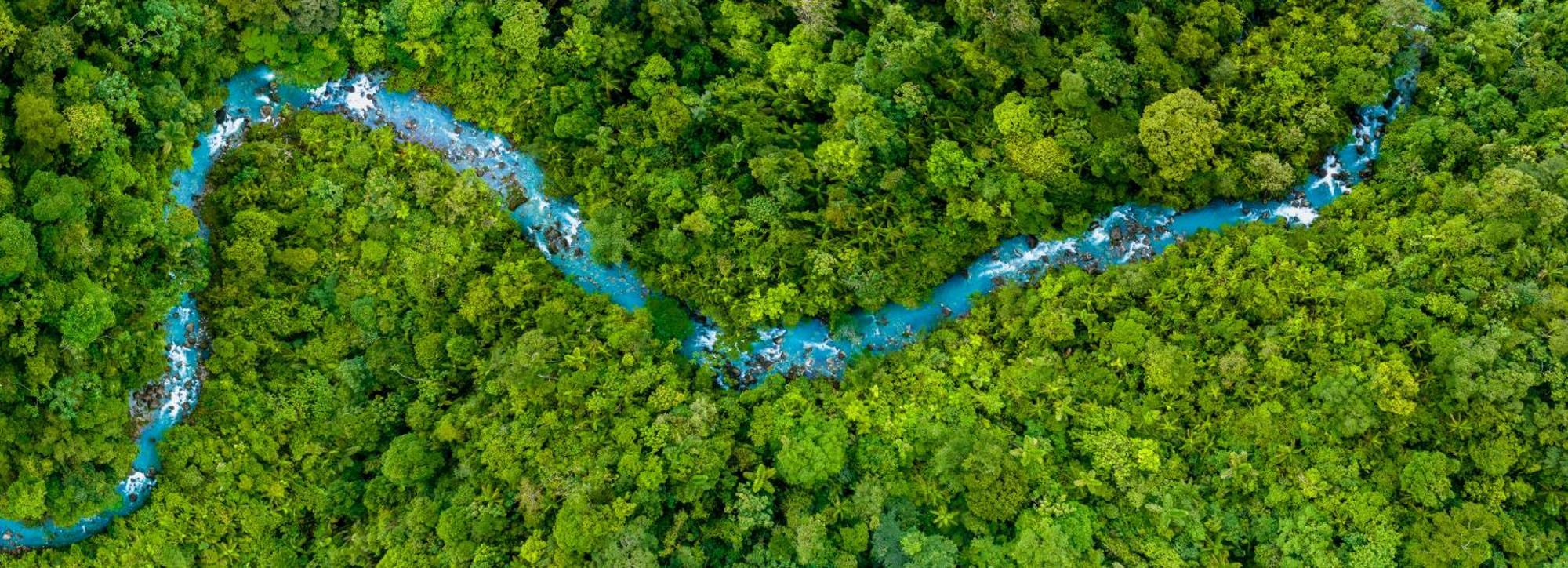Hideaway Rio Celeste Hotel Bijagua Exterior foto